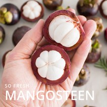 항공 직송 태국 망고스틴 생과 500g 1kg 2kg 5kg, 500g(5~7알)
