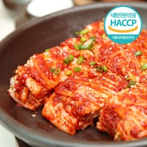국내산 100% 당일제조 HACCP인증 겉절이, 1kg, 1개