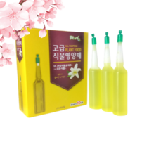 뿌리 식물 발근제 활력제 식물 비타민 영양제앰플, 옵션3.분사형 식물영양제 500ml X 2개