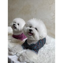 보그반팔T