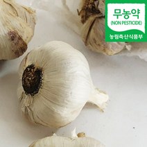 (자연마을) 국내산 무농약 남해 통마늘 햇마늘 800g / 2kg, 국내산 무농약 남해 통마늘 800g