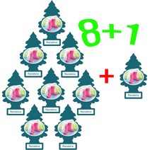 리틀트리 방향제 8+1 차량용 방향제 총 (9개) 종이방향제 디퓨져 미국산 옷장 화장실 방향제, 레인샤인(9개)