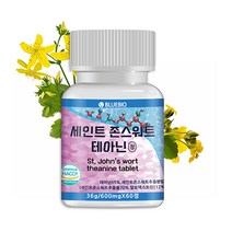 세인트 존스워트 테아닌 정 60정 600mg 세로토닌 영양제, 1통