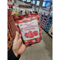 커클랜드 시그니춰 유기농 건체리 567g 1봉~8봉, 1봉