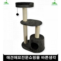 시력나쁜고양이눈건강관리돕는 고양이키울때 애묘용품 고양이간식, 1개