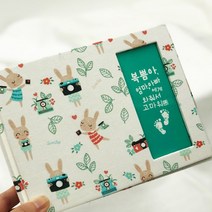 토끼띠 범띠 초음파 앨범 접착식 2023 포토 사진 꾸미기 보관 태교 태아 일기, 속지15장(30매), 범띠_스카이