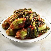 21세기푸드 [3대째 손맛] 여수 돌산갓김치 3kg, 1