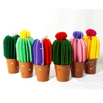 펠트대장 선인장 가습기만들기, 그린, 1세트