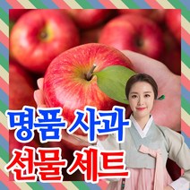 [프리미엄]사과 명절 과일 선물세트 제수용 가정용 선물용 보자기포장, 프리미엄 사과  2호