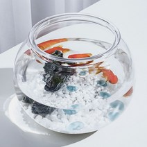 [G1P] 구피 어항 베타 플라스틱수족관 키우기 원형 둥근수족관 12.5X10cm 알비노폴레드구피 pond02*10379168CO, 본상품선택
