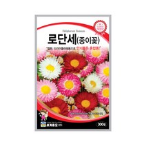 모칸도 (무배)세계 로단세 꽃씨 (300립), 1개