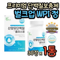 벌크업 프로틴 PROTEIN 국산 단백질 영양제 WPI 네덜란드 산양유 분리 유청 칼슘 카제인 BCAA 류신 로이신 발린 이소류신 이소로이신 히알루론산 하이루론산 근육 보충제