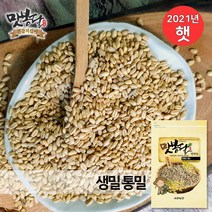 맛봉달 2022년 밀 생밀 소맥 통밀 미국산, 500g