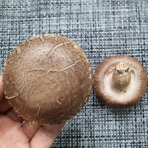 국산 무농약 표고버섯, 상품 1kg