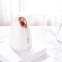 페이스 스티머 얼굴 스팀기 미니 가저용 스팀 머신 미스트기 홈케어, 업그레이드된모델-화이트