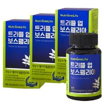 뉴트리원 트리플 업 보스웰리아 (90정) 보스웰릭산 울금 칼슘 아연 마그네슘 함유, 2개