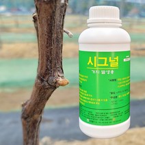 발아촉진제 가지발생제 가지촉진제 잎눈 과수 곁가지 측지발생제 시그널 1L
