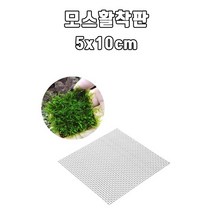 신바람 모스 활착판 수초 활착 (5x10cm)