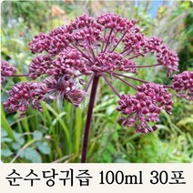 내몸에 자연가득 당귀즙 당귀차 국산 순수 당귀만 사용 100ml 30포, 알뜰구매30포더주문
