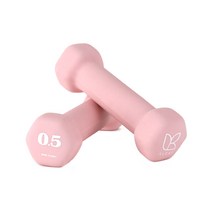 아리프 선인장 미용아령 0.5kg 세트 홈트 덤벨 헬스, 단품