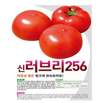 아시아종묘 신러브리 256 토마토 씨앗종자 완숙토마토 씨앗 토마토씨, 1000개