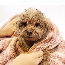한샘크리너 국내산 초극세사 애견타올 강아지타올 펫타올 40*80, 그레이