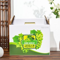 보성식품 NFC 저온착즙 생샤인머스켓즙 100ml x 50포