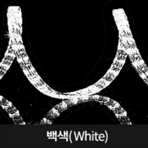 LED 원형 논네온 50M, 백색