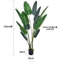 여인초 조화 플랜테리어 인테리어 소품 그린 대형 화분, T