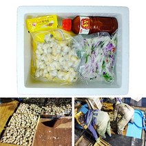 동해안 자연산 손질 백고동 밀키트 백골뱅이무침, 백고동 밀키트(1-2인분)