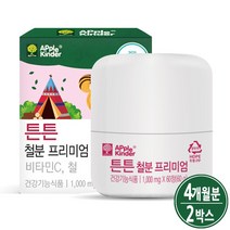 아기철분제 유아 키즈 어린이 아동 초등학생 청소년 영유아 철분제 비타민C 맛있는 씹어먹는 철분 헴철, 어린이철분제(2개월분), 2박스