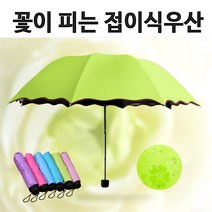 BUyuS우산/UV차단/자외선차단/체리블라썸/양우산/우양산/무늬우산/벗꽃무늬 우산/양산/고급접이식우산/튼튼한굿딜 브이숍