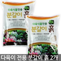 다육이 전용 분갈이흙 1.5kg x 2개 - 다육이흙 다육 다육이 화분갈이 상토 계분 분갈이흙, 세인_다육식물분갈이흙(1.5kg)(2개)