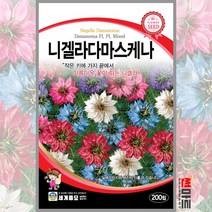 니겔라다마스케나 200립 / 두해살이 혼합종 꽃씨 씨앗 화단 정원 꽃밭