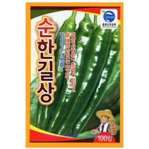 23년도 순한길상 고추씨앗 100립 사카타코리아