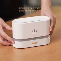 초음파 가습기 미니가습기 책상용 회사용 제습기 환절기 C타입 전원 모닥불, 불멍 초음파 가습기 화이트