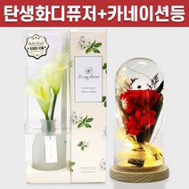 탄생화 디퓨저 선물 세트 10월 탄생화 카라 + 카네이션 무드등 부모님 어버이날 선생님 엄마 장모님 생신 환갑 칠순 생일 집들이 선물 실내 디퓨저 실내 방향제 디퓨져, 청포도, 레드, 500ML