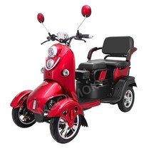 전동 스쿠터 지능형 스마트 4륜 카트 노인 장애 관광 다목적 N2, 60V, 500W 폭발방지 리튬배터리