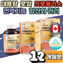 식 약 처인증 성장기 어린이 청소년 온가족 부모님 프로 폴리스 구치 혀 마름 혓바닥 갈라짐 구강 입안 건강 항균 통증 항산화 잇몸 피날때 효능 에좋은 플라보노이드 12개월