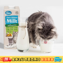 고양이멸균우유 TOP100으로 보는 인기 제품