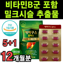 밀크씨슬 비타민b 복합체 복합제 보라색 비 콤플렉스 종합 영양제 식약청 식약처 인증 작은알 타블렛 추출물 엉겅퀴 대용량 고함량 개별 낱개 포장 민들레 분말 울금 헛개 일양 홍국 정, 6박스(12개월분)