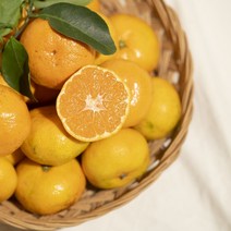 지장샘농장 제주 극조생감귤 2.5kg 4.5kg, 극조생감귤 소과(2S이하) 2.5kg
