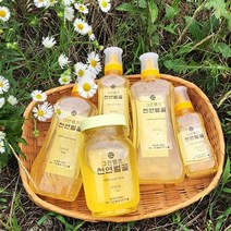 말뚝 천연 아카시아꿀 100% 자연산 국산 토종꿀 꿀선물세트 꿀답례품, 1개, 300g