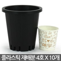 플라스틱 재배분 4호~7호(10개) - 화분 플라스틱분 양란 녹차 난화분 란화분 난재배분 양란화분 난재배 녹차재배분 긴화분, 01_청운_재배분(4호) X 10개