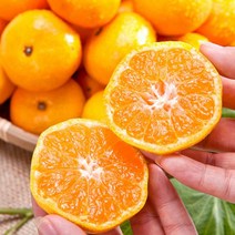 제주연가 하우스감귤, 1통, 2kg