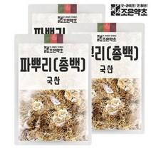 [조은약초] 국내산 건조 파뿌리 파뿌리차 총백 대파차 300g x 3, 3개, 상세 설명 참조
