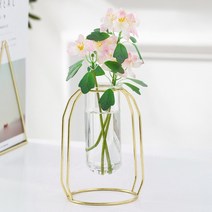 플랜테리어 시험관 꽃병(10x16cm) 인테리어 유리화병