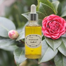 제주비자숲본 동백오일 50mL(비정제), 50ml