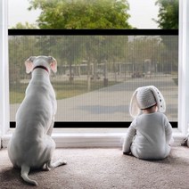 고양이 안전망 팬스 강아지 애견 가림막 best 분리 울타리, 안전망기본형