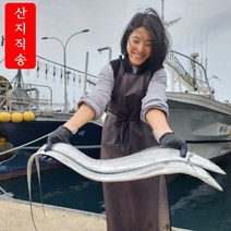 프레시퍼스트 제주은갈치 산지직송 제주 특대 손질 갈치 제주도 특산품 왕특대 두툼한 은갈치 진공포장, 제주 은갈치 왕특대(400g/3지반/90cm) 1마리